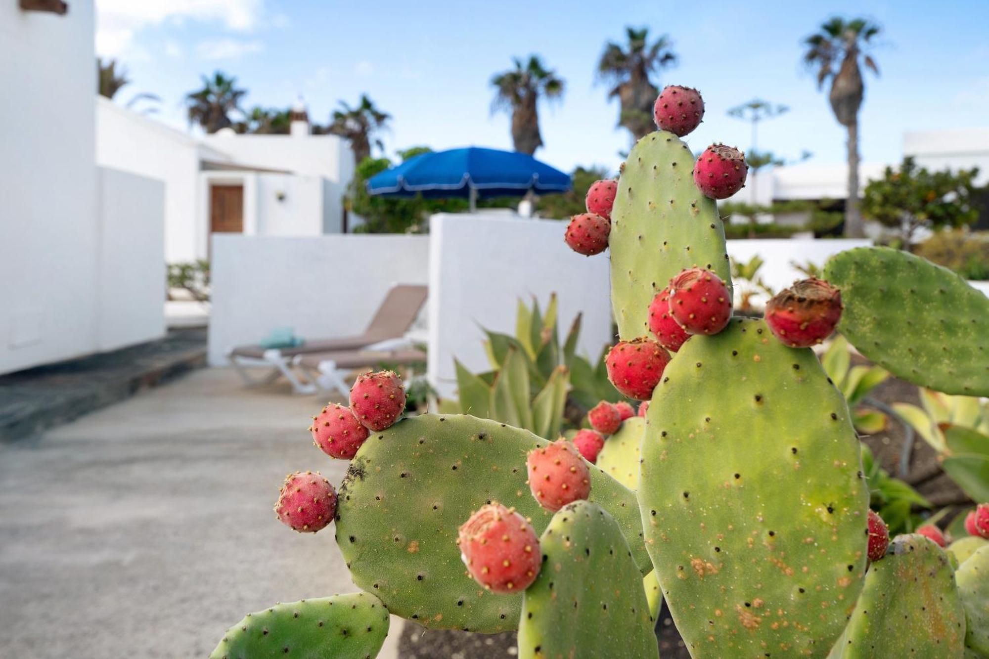 فيلا Casa Aloe Haría المظهر الخارجي الصورة
